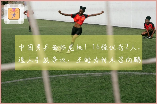 中国男乒面临危机！16强仅存2人，选人引发争议，王皓为何未召向鹏？