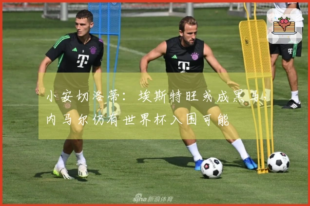 小安切洛蒂：埃斯特旺或成黑马，内马尔仍有世界杯入围可能