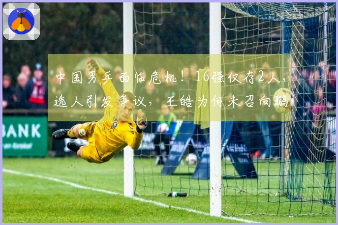 中国男乒面临危机！16强仅存2人，选人引发争议，王皓为何未召向鹏？